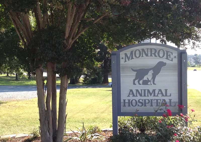 Carousel Slide 3: Learn more about us!